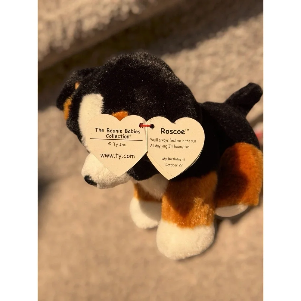 Ty Beanie Baby - ROSCOE the Bernese Mountain Dog (6 Inch) NEW MWMTs Stuffed Toy